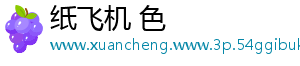 纸飞机 色